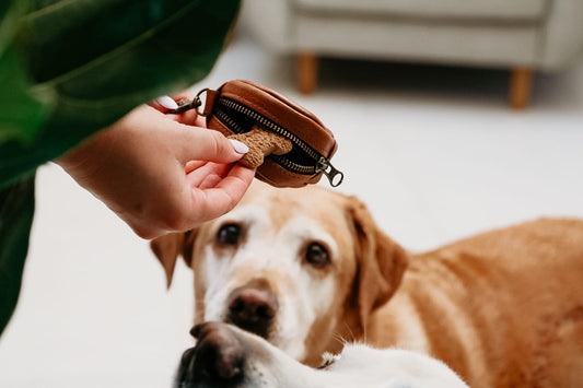 Treat Pouch